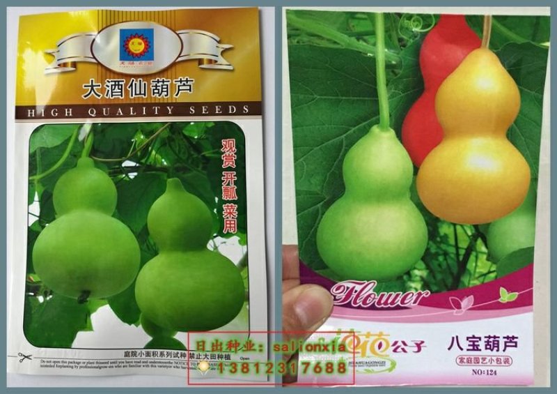 葫芦种子
