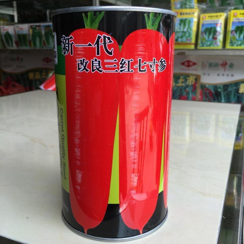 胡萝卜驱蚊草秋葵种子
