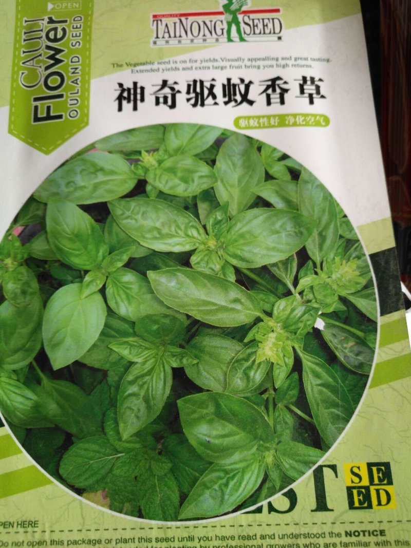 胡萝卜驱蚊草秋葵种子