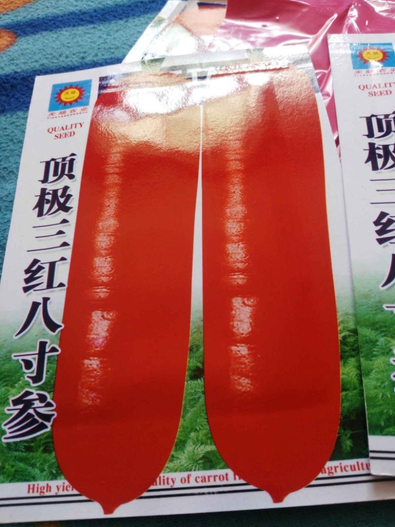 胡萝卜驱蚊草秋葵种子
