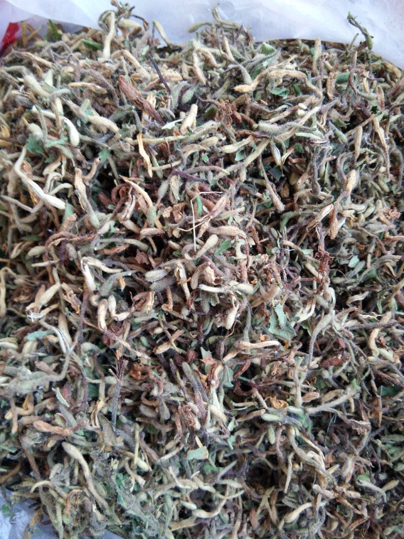 精选特级新货野生金银花色青，无硫，无沫，纯净金银花