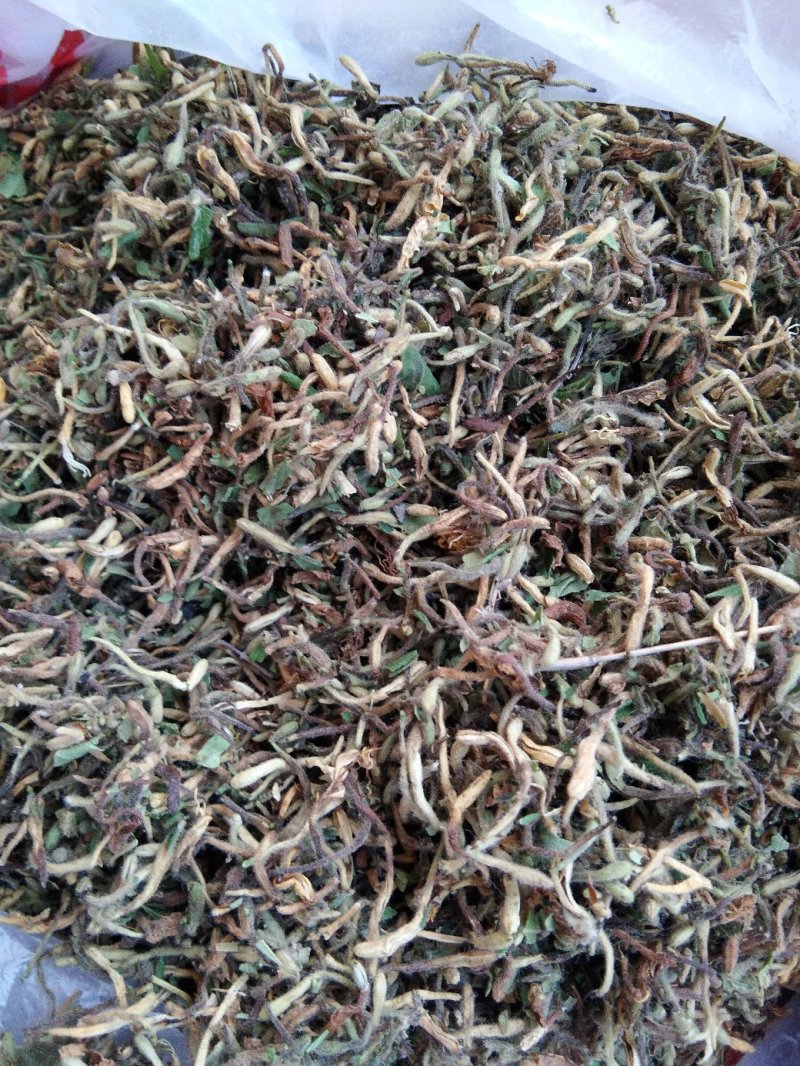 精选特级新货野生金银花色青，无硫，无沫，纯净金银花