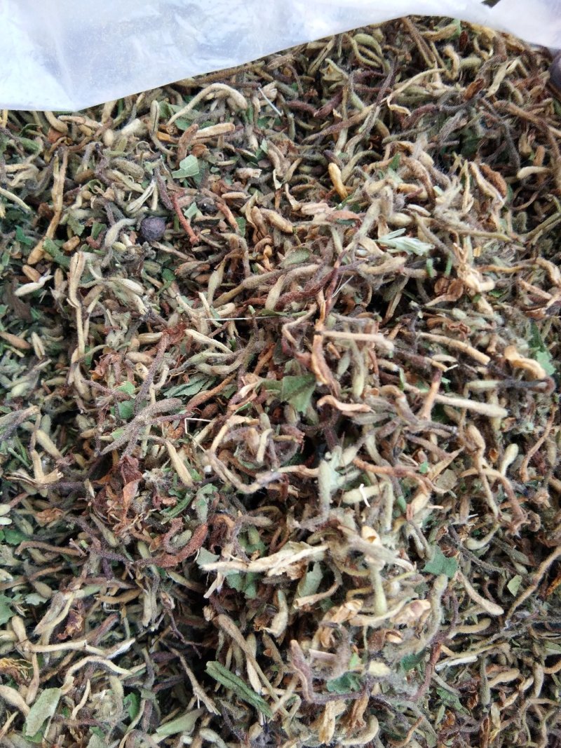 精选特级新货野生金银花色青，无硫，无沫，纯净金银花