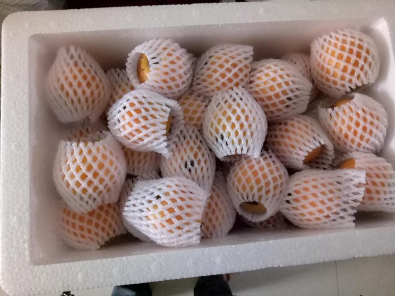 美奇特四川枇杷150包邮六斤