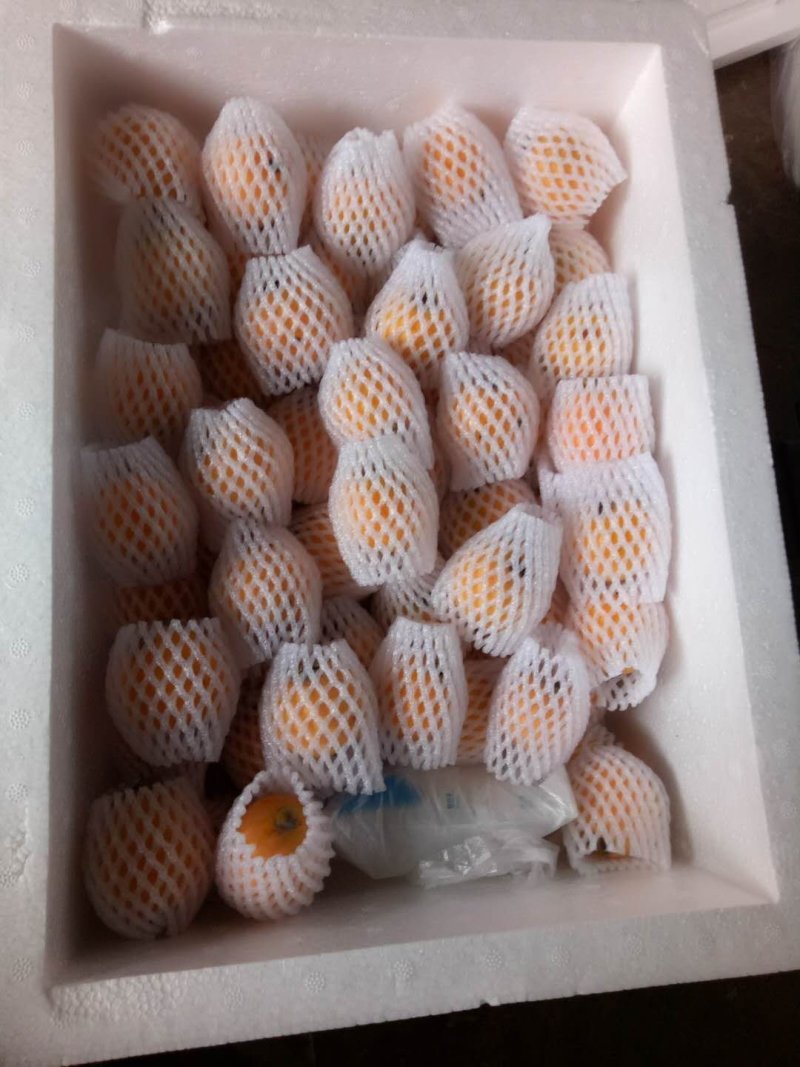 美奇特四川枇杷150包邮六斤