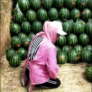 甜王西瓜