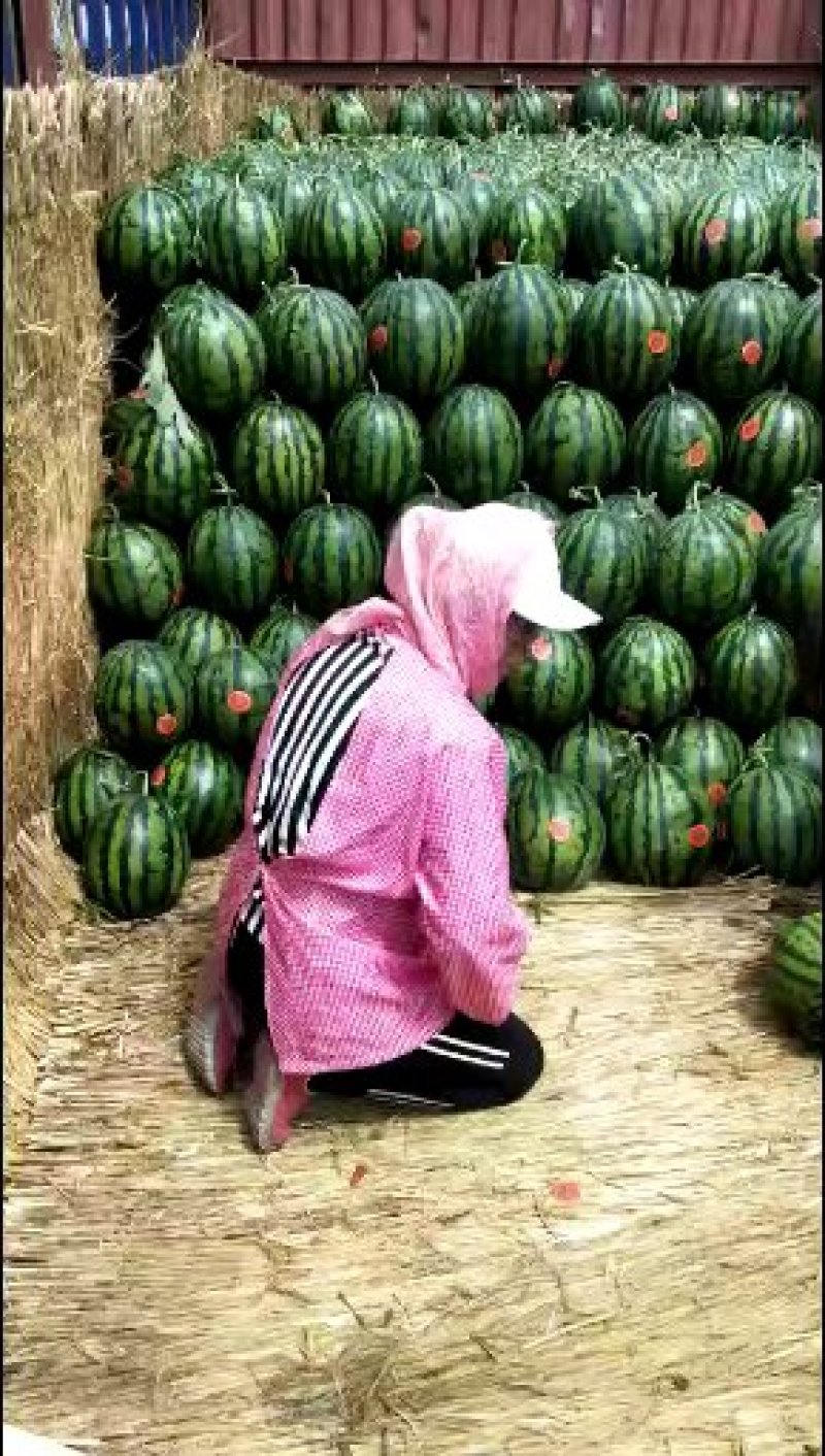 甜王西瓜