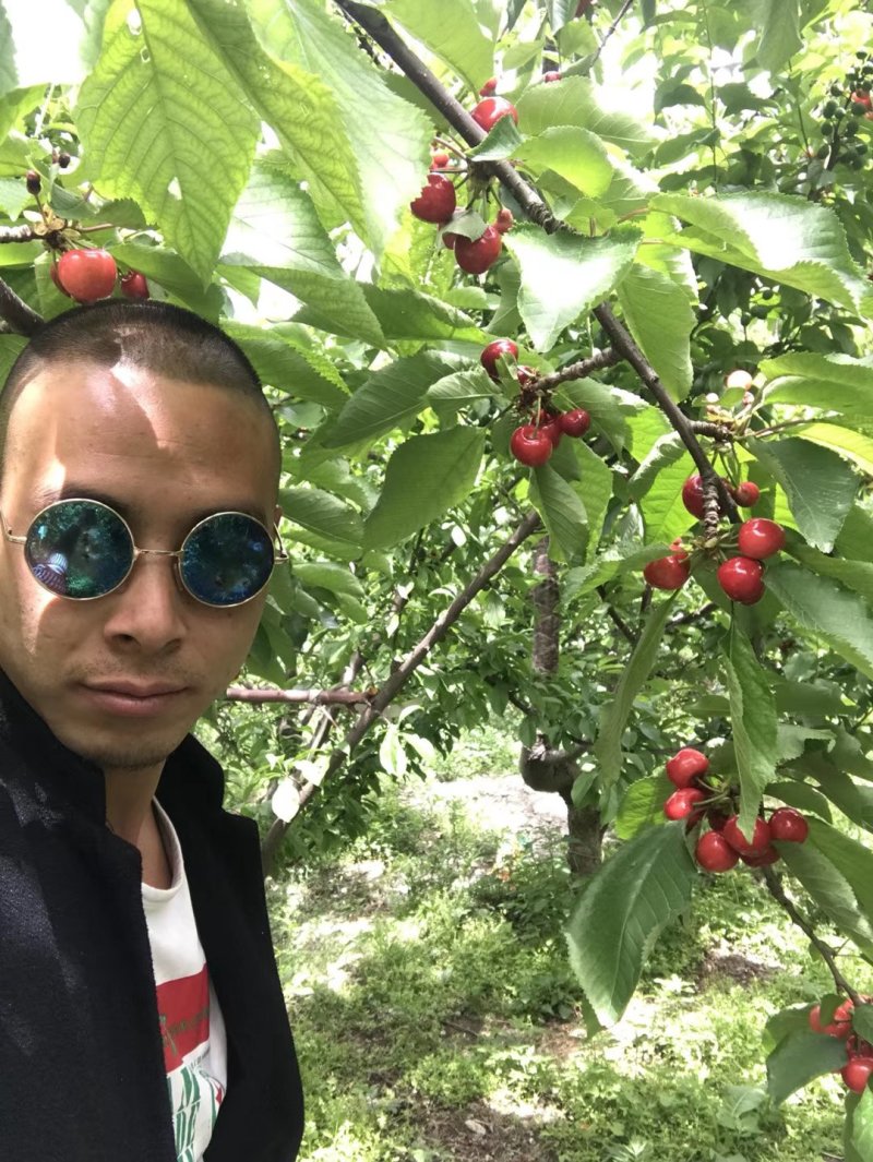 云中圣果，汶川车厘子！各大味美，口号甘甜