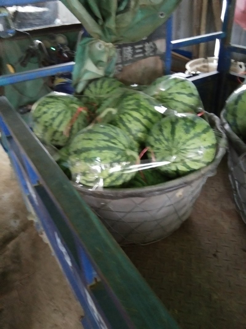 麒麟西瓜