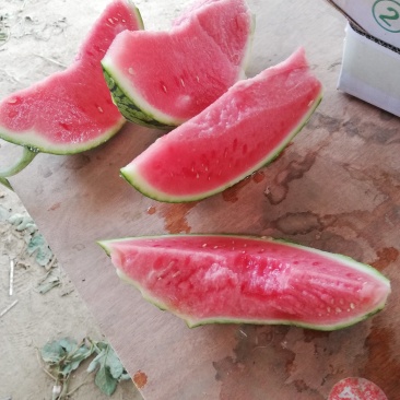 无籽美都，夏邑产地，超市精品，一手货源！