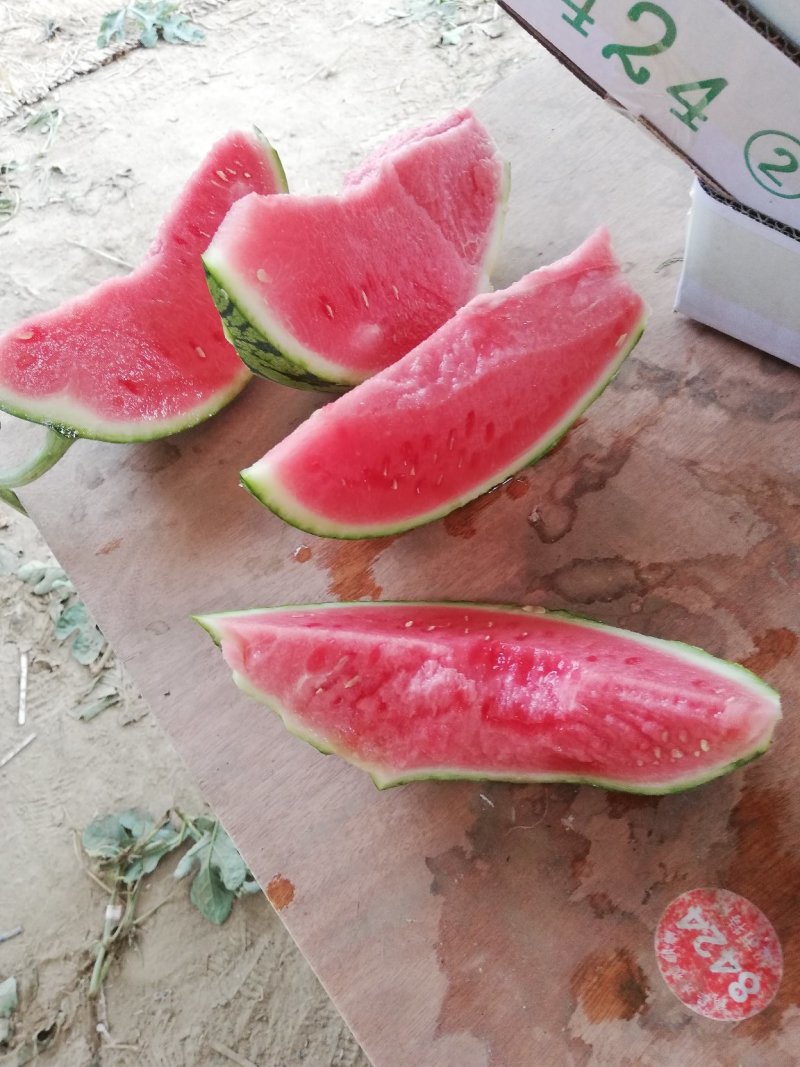 无籽美都，夏邑产地，超市精品，一手货源！
