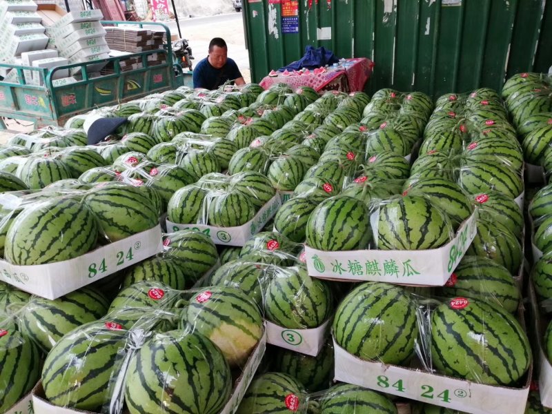 无籽美都，夏邑产地，超市精品，一手货源！
