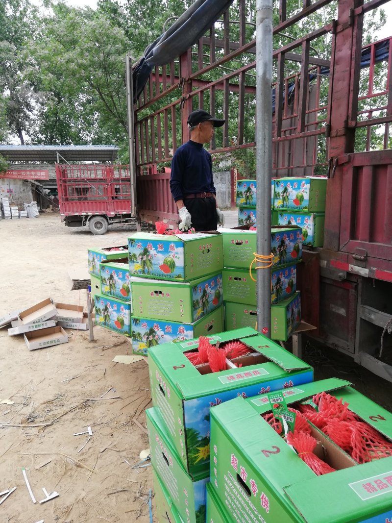 无籽美都，夏邑产地，超市精品，一手货源！