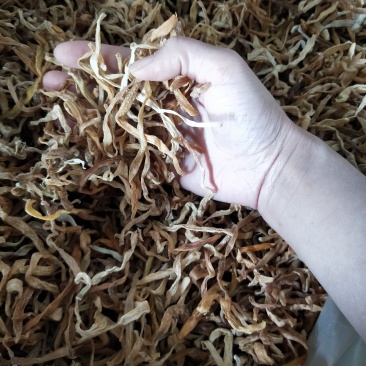 处理菜，颜色不好，黄花菜9成干，
