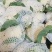 散花，有机花，散花，小米粒，走市厂，入冷库，