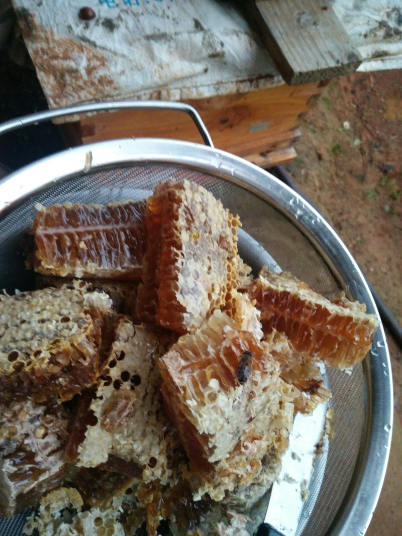 中华土蜂蜜（百花蜜）！