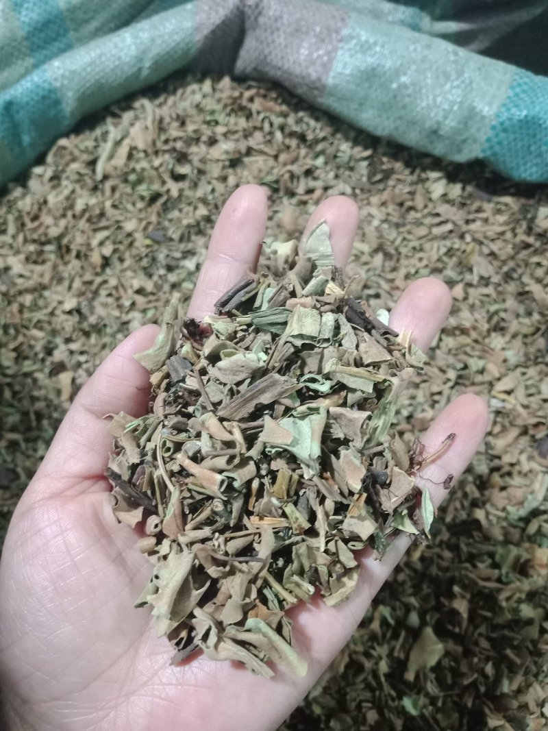 石韦小叶各种规格中药材批发石苇中药材石伟