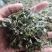 药用罗布麻草罗布麻叶批发零售各种规格中药材