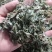 药用罗布麻草罗布麻叶批发零售各种规格中药材