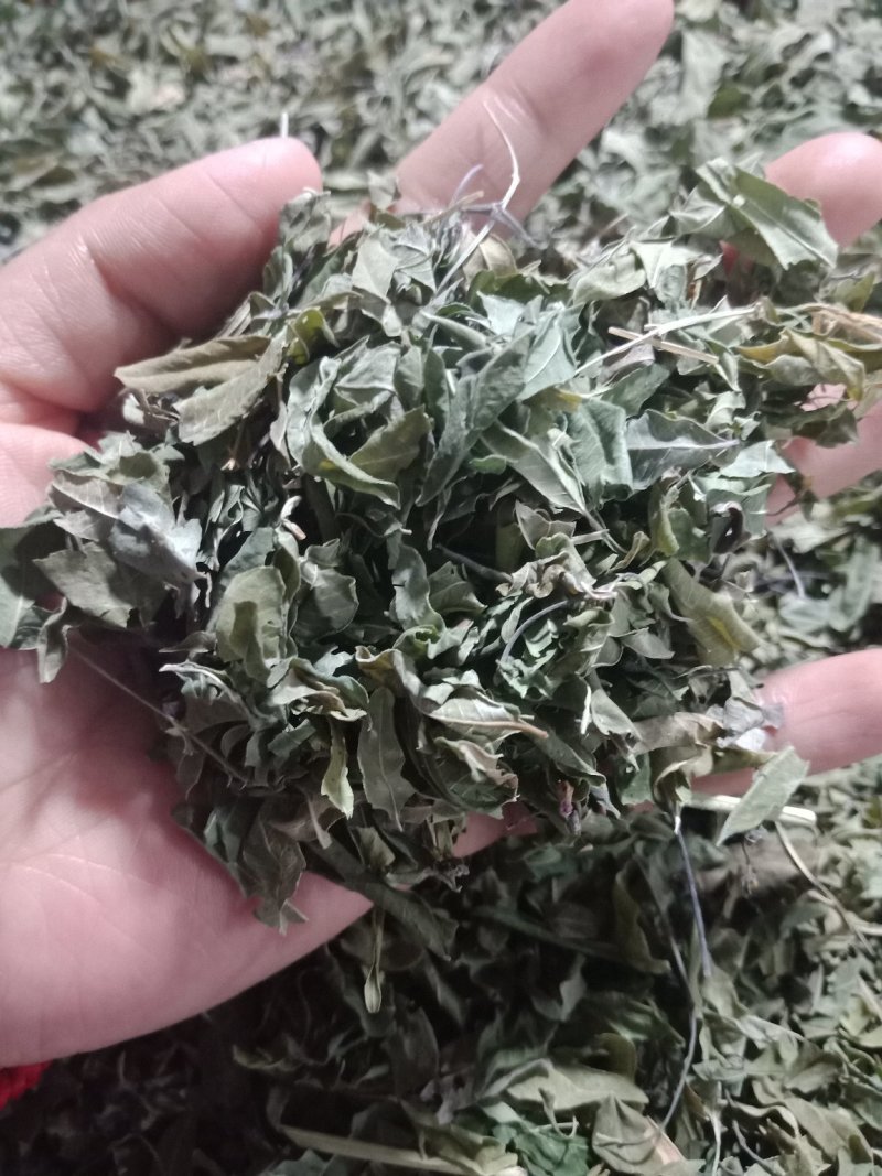 药用罗布麻草罗布麻叶批发零售各种规格中药材