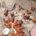 170天高山林地散养玉米粉料阉鸡出售肉质鲜嫩宴席**
