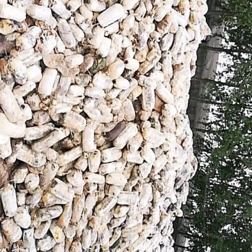 废菌棒大量供应