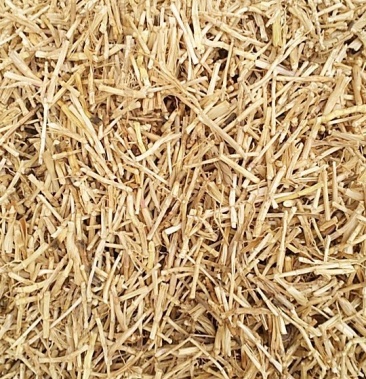 当前位置></p></a>供应大厅>中药材>白茅根>