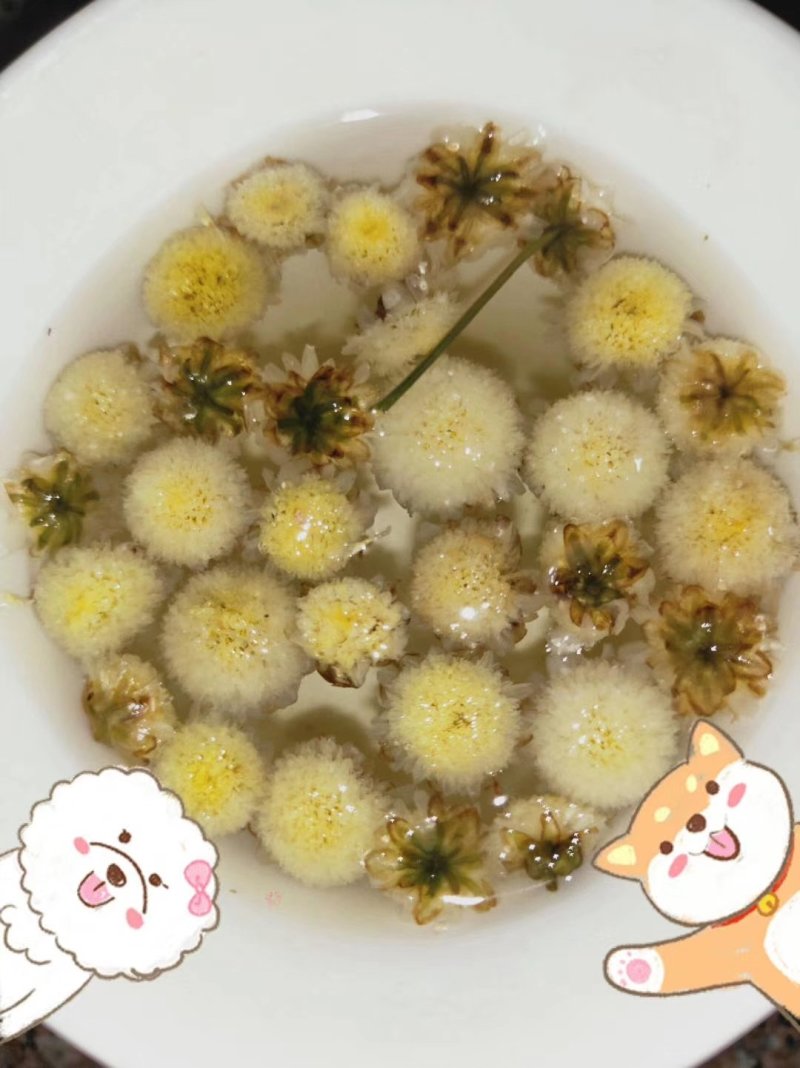 农家自种植菊花茶手工挑选