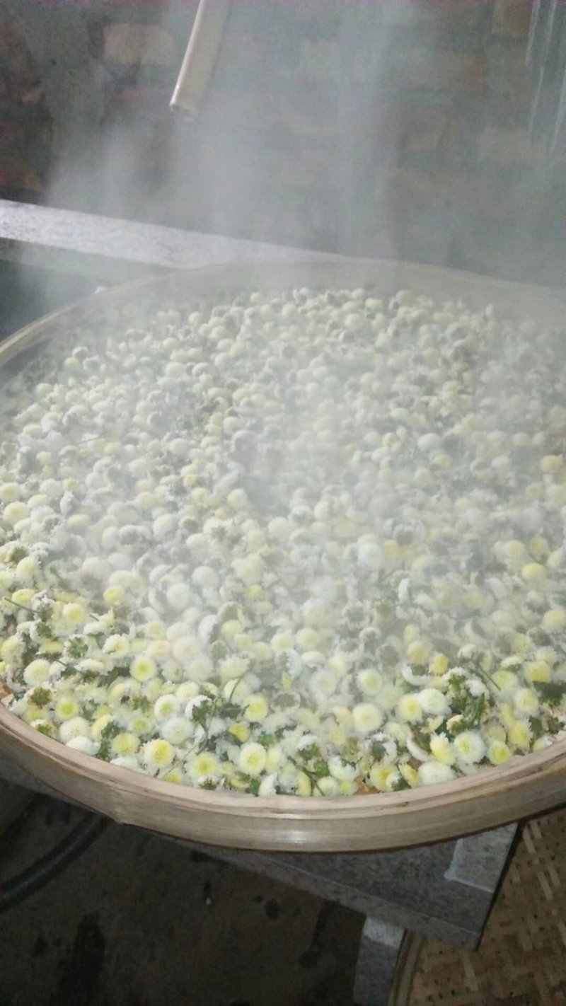 农家自种植菊花茶手工挑选