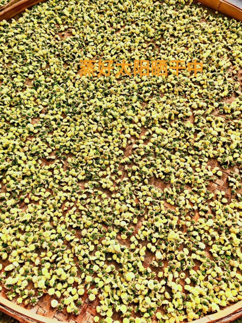 农家自种植菊花茶手工挑选