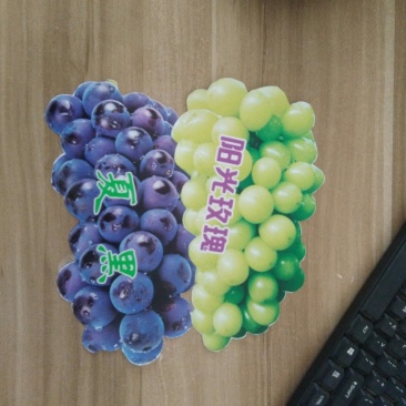 夏黑葡萄苗