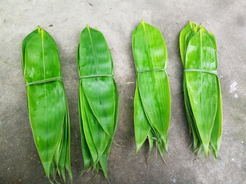 2019年新鲜粽叶大