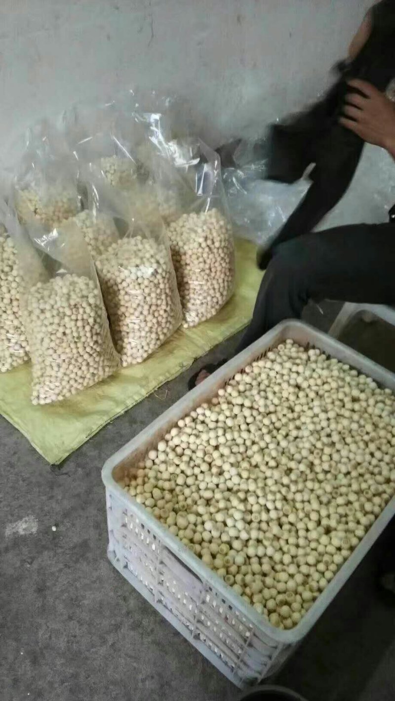 新鲜莲蓬，新鲜水果莲蓬莲子嫩莲蓬大量供应发货