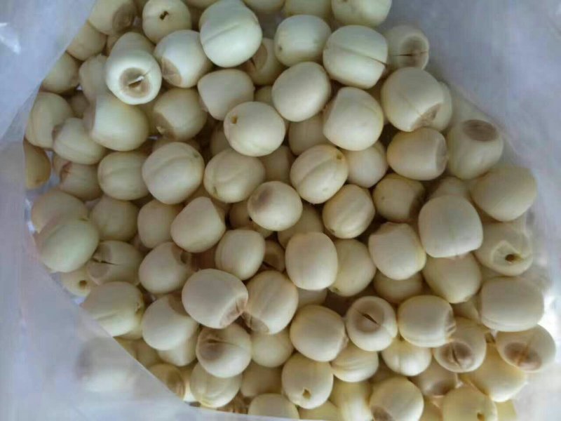 新鲜莲蓬，新鲜水果莲蓬莲子嫩莲蓬大量供应发货