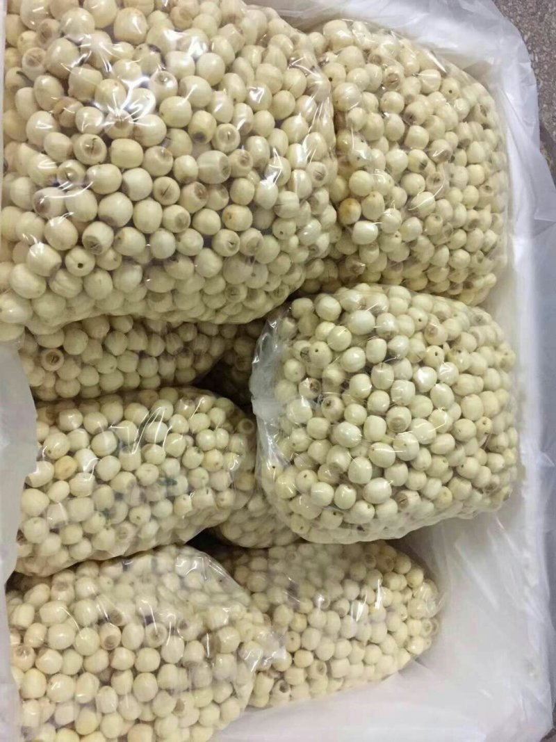 新鲜莲蓬，新鲜水果莲蓬莲子嫩莲蓬大量供应发货
