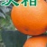 我处有纯种沃柑果苗出售！
