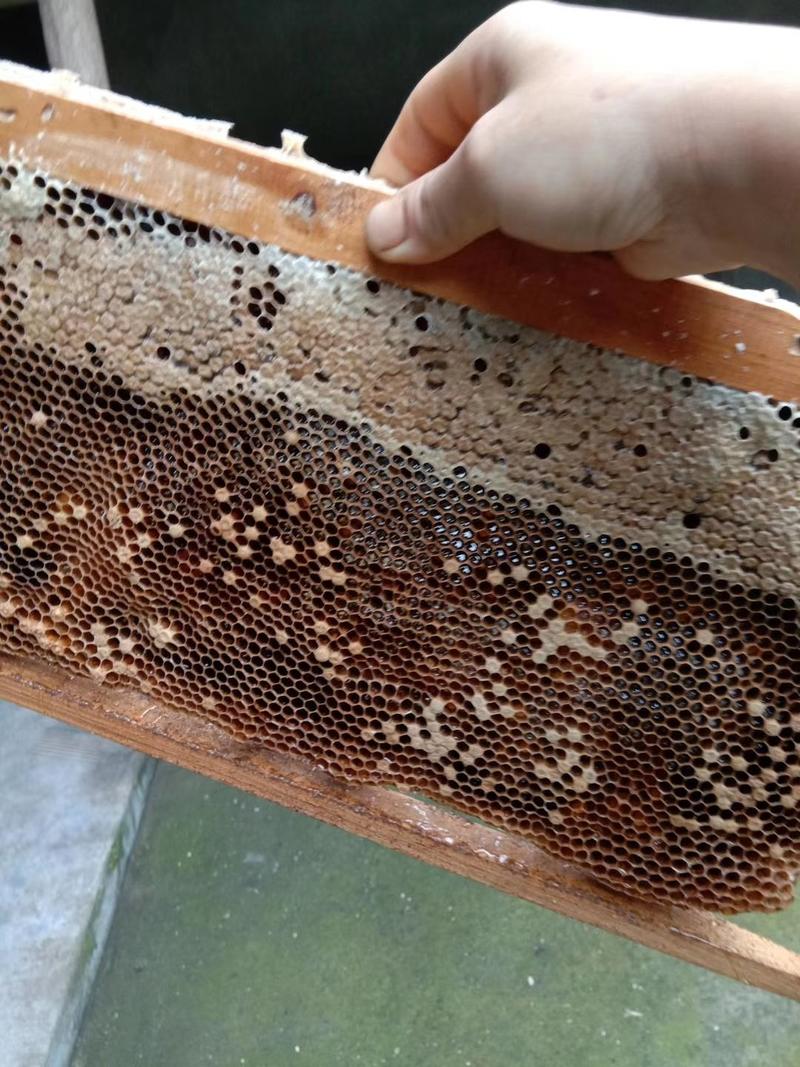 农家蜂蜜，纯天然无任何加工
