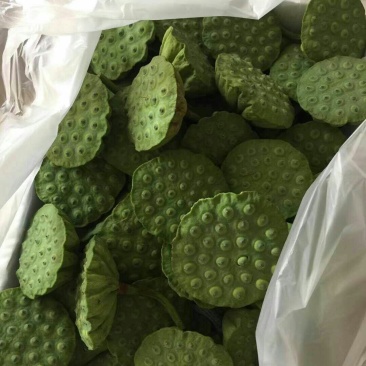 新鲜莲蓬，新鲜水果莲蓬莲子嫩莲蓬大量供应发货