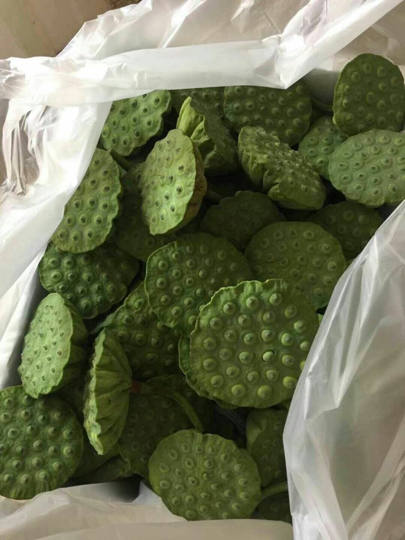 新鲜莲蓬，新鲜水果莲蓬莲子嫩莲蓬大量供应发货