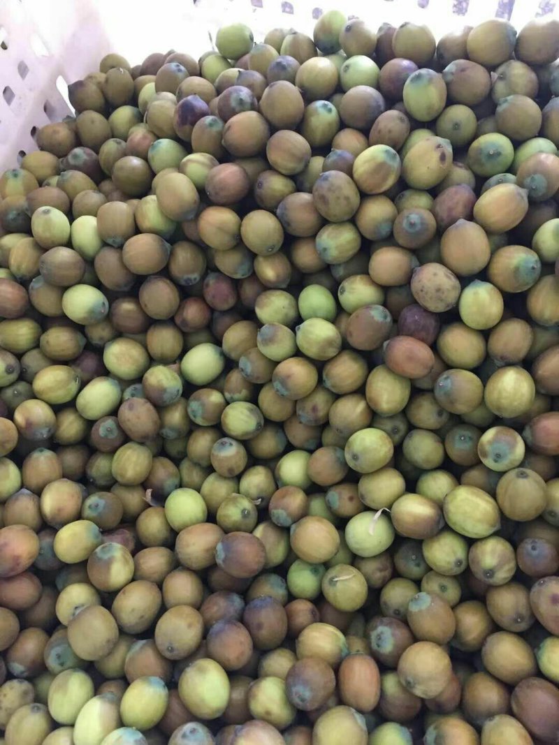 鲜红莲子，新鲜去壳红莲原产地大量供应发货