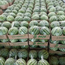 ，8424西瓜，大量上市了，口干好，保证质量。