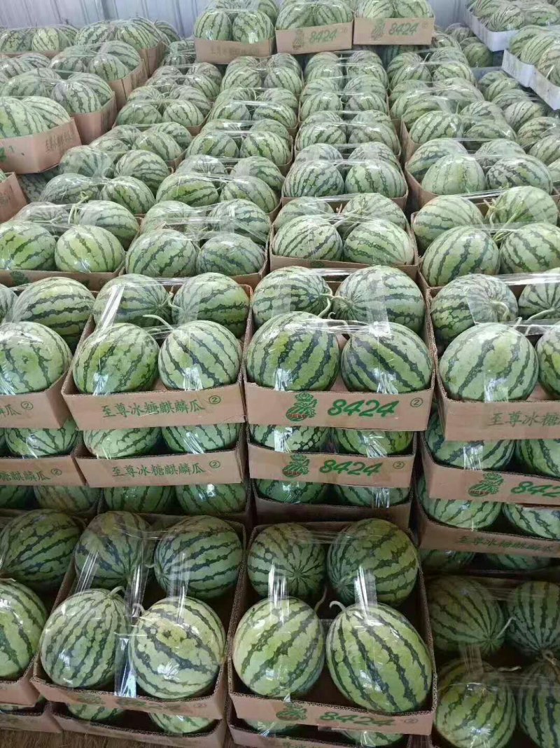 ，8424西瓜，大量上市了，口干好，保证质量。