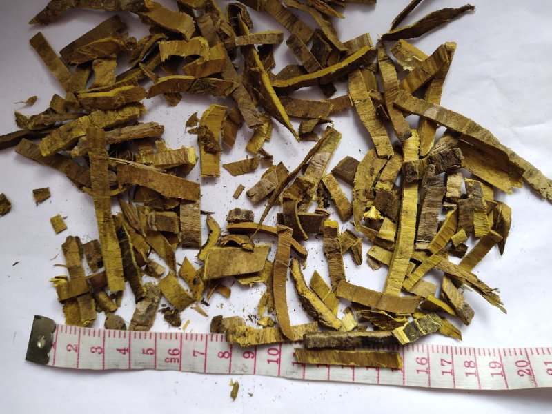 黄柏统批发诚信经营支持混批一件代发1000克起
