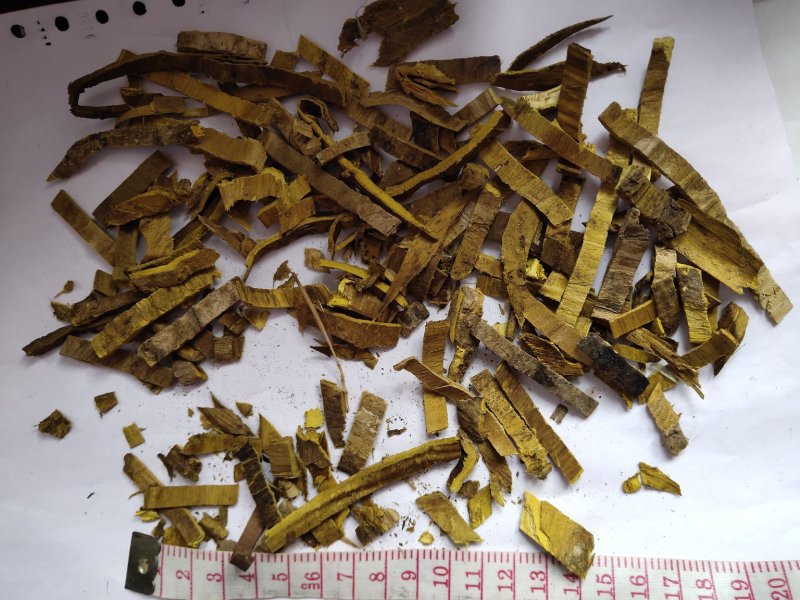 黄柏统批发诚信经营支持混批一件代发1000克起