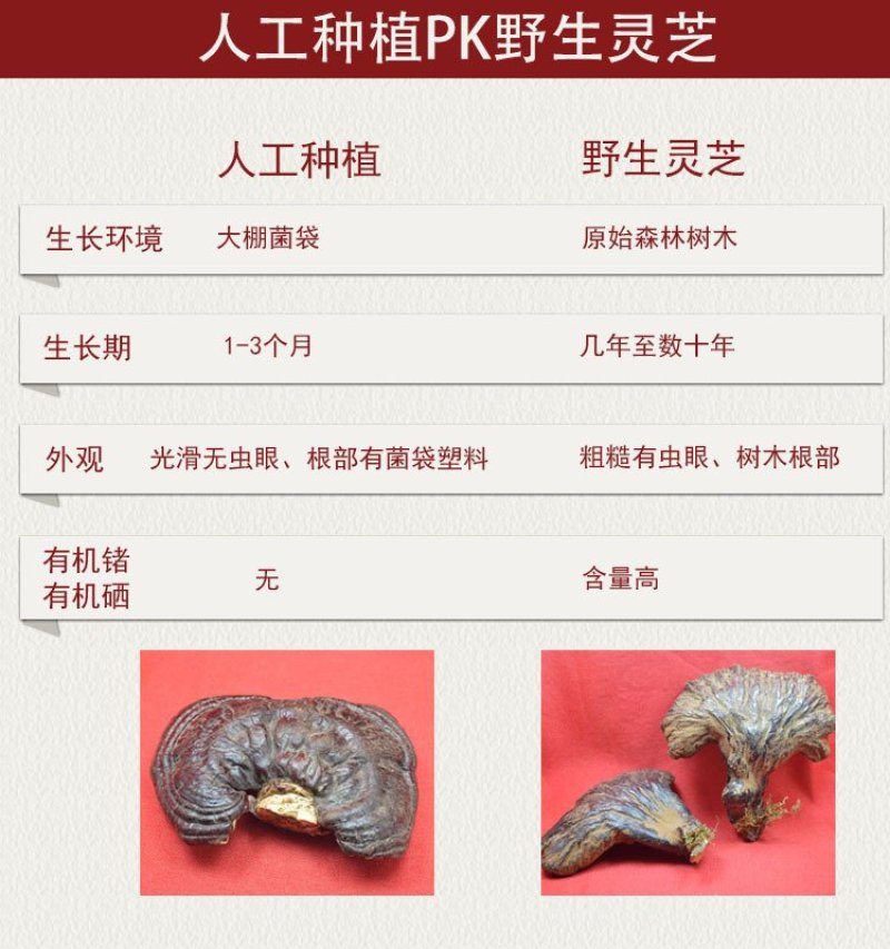 长白山野生灵芝表面带孢子粉真正野生整只大块一斤包邮