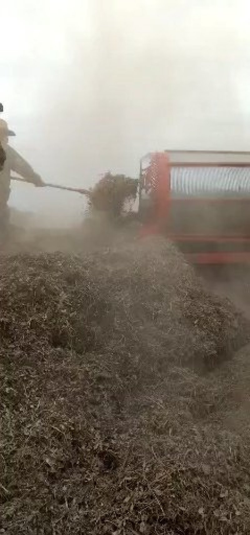 花生秧，牛、羊、马、兔草料，过滚筒筛除尘……