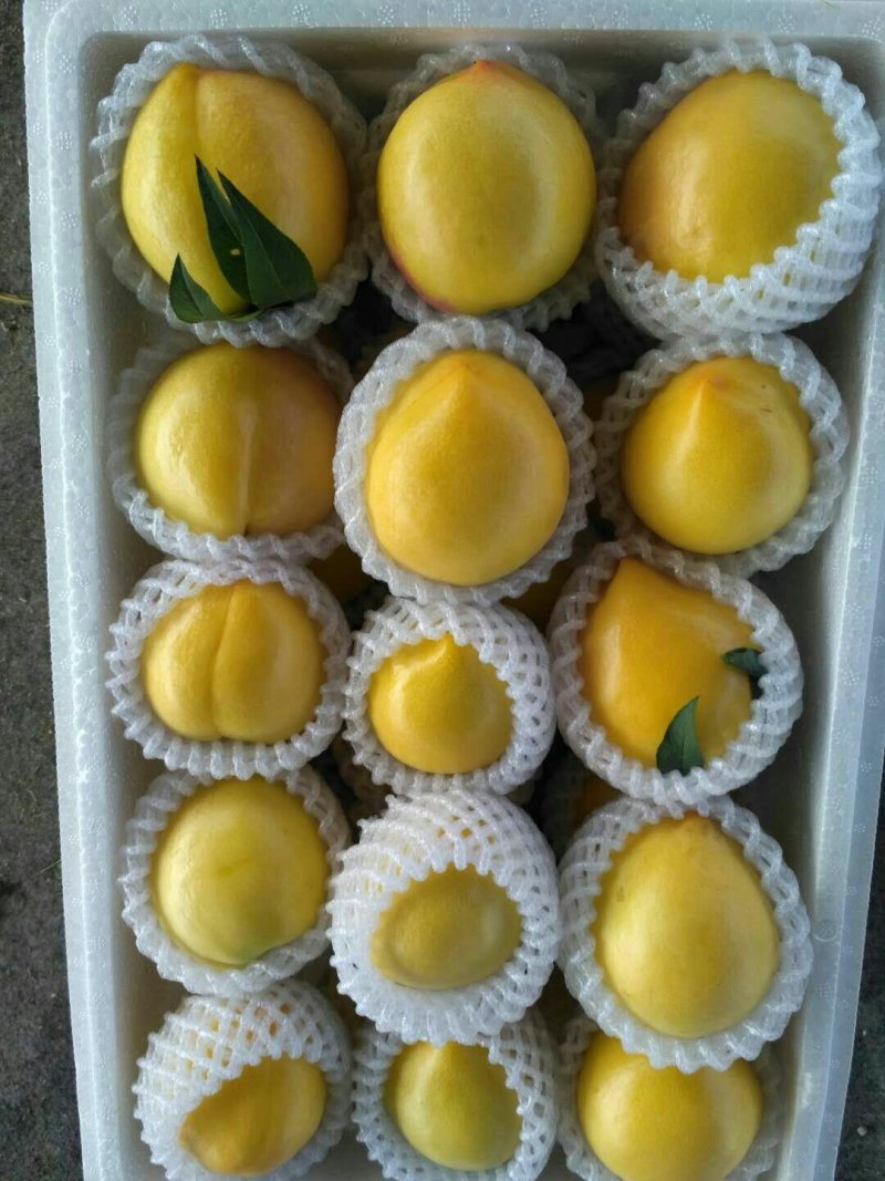 大量现货私发油桃