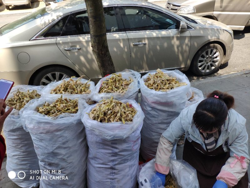 绩溪燕笋干2022年新货大量批发，可上门看货