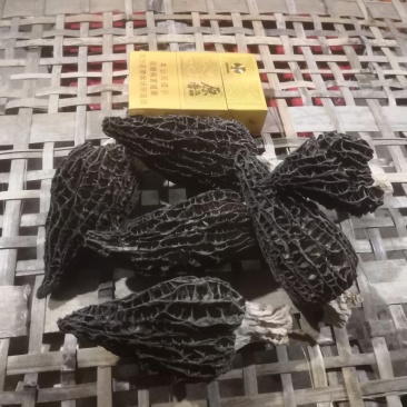 羊肚菌A级(干)