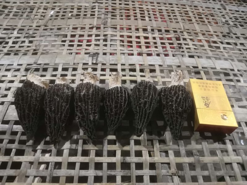 羊肚菌A级(干)